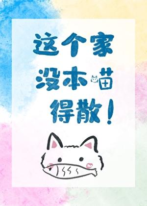 小猫养家手札
