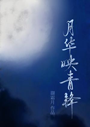 月华映青锋