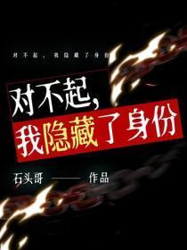 对不起,我隐藏了身份