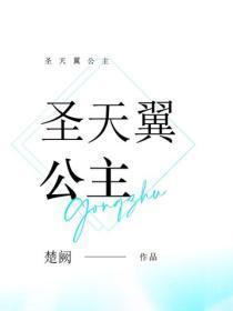 圣天翼公主