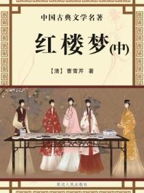 红楼梦（中）