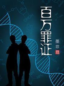 百万罪证