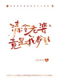 清冷老婆竟是我粉丝
