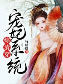综清穿：宠妃系统
