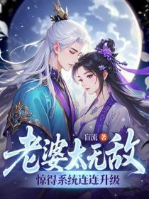 老婆太无敌，惊得系统连连升级