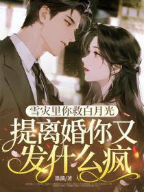雪灾里你救白月光,提离婚你又发什么疯