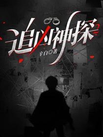 追凶神探2