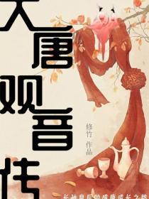 大唐观音传
