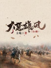 大楚雄风（全4册）