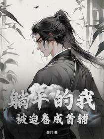 躺平的我,被迫卷成首辅