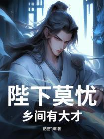 陛下莫忧，乡间有大才