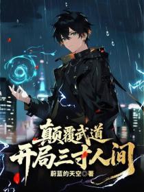 颠覆武道:开局三寸人间