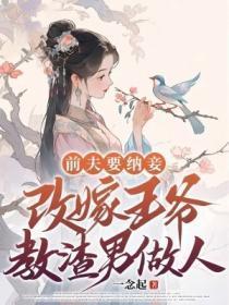 前夫要纳妾，改嫁王爷教渣男做人