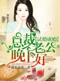 总裁老公晚上好